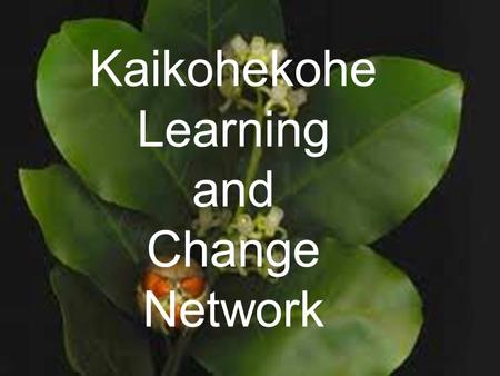 Kaikohekohe Learning and Change Network. Kaikohekohe To prepare for the future we must honour the past History reveals that the name Kaikohe came from.