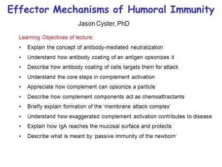 Effector Mechanisms of Humoral Immunity