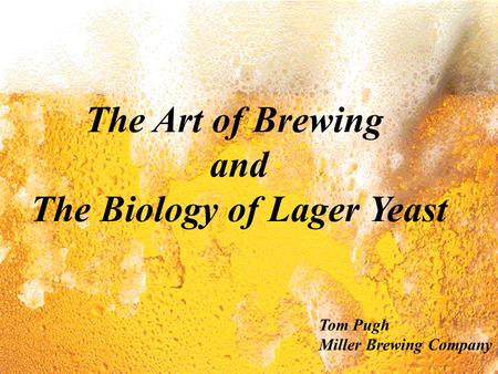 The Biology of Lager Yeast