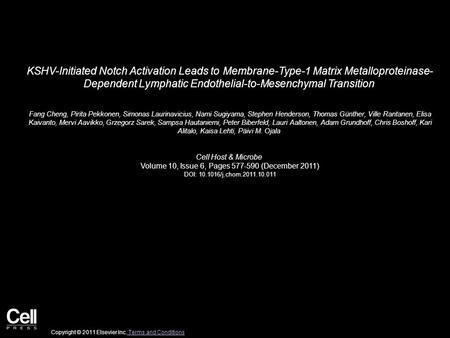 KSHV-Initiated Notch Activation Leads to Membrane-Type-1 Matrix Metalloproteinase- Dependent Lymphatic Endothelial-to-Mesenchymal Transition Fang Cheng,