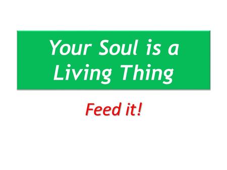 Your Soul is a Living Thing Feed it!. All Your Soul Deuteronomy 4:29 Deuteronomy 6:5 Deuteronomy 10:12 Deuteronomy 11:13 Deuteronomy 13:3 Deuteronomy.