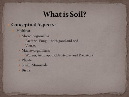 Conceptual Aspects: Habitat Micro-organisms Bacteria, Fungi – both good and bad Viruses Macro-organisms Worms, Arthropods, Detrivores and Predators Plants.