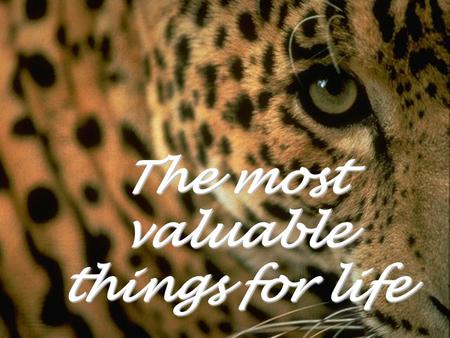 The most valuable things for life The most selfish one letter word........... I Avoid it. (En bencil tek harfli kelime) (Ben) (Ondan sakın)