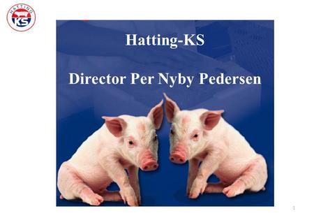 1 Hatting-KS by Director Per Nyby Pedersen Hatting-KS Director Per Nyby Pedersen.