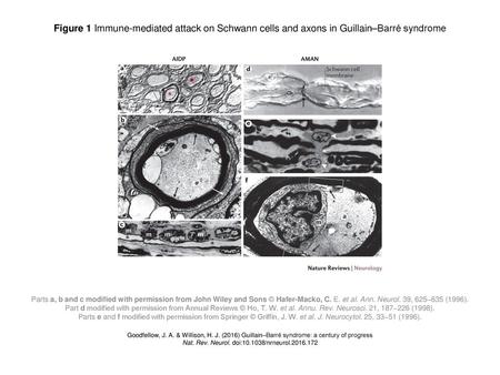 Nat. Rev. Neurol. doi: /nrneurol