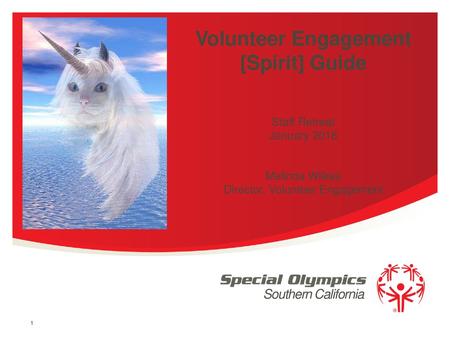 Volunteer Engagement [Spirit] Guide