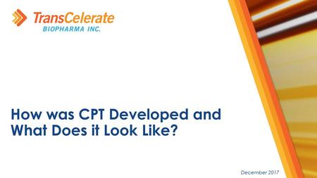 How was CPT Developed and What Does it Look Like?