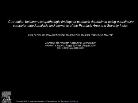 Correlation between histopathologic findings of psoriasis determined using quantitative computer-aided analysis and elements of the Psoriasis Area and.