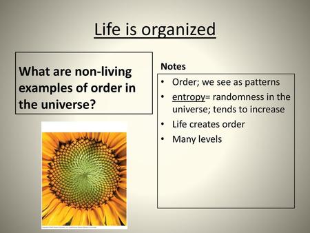 Life is organized What are non-living examples of order in the universe? Notes Order; we see as patterns entropy= randomness in the universe; tends to.