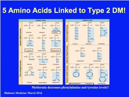 Elevated levels of various circulating amino acids (AAs) predict the development of Type 2 diabetes. In one prospective study, three branched-chain AAs.