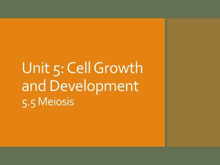 Unit 5: Cell Growth and Development 5.5 Meiosis