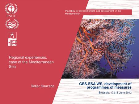 Regional experiences, case of the Mediterranean Sea