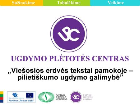 „Viešosios erdvės tekstai pamokoje – pilietiškumo ugdymo galimybė”