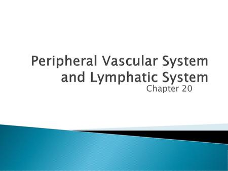 Peripheral Vascular System and Lymphatic System