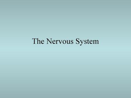 The Nervous System.