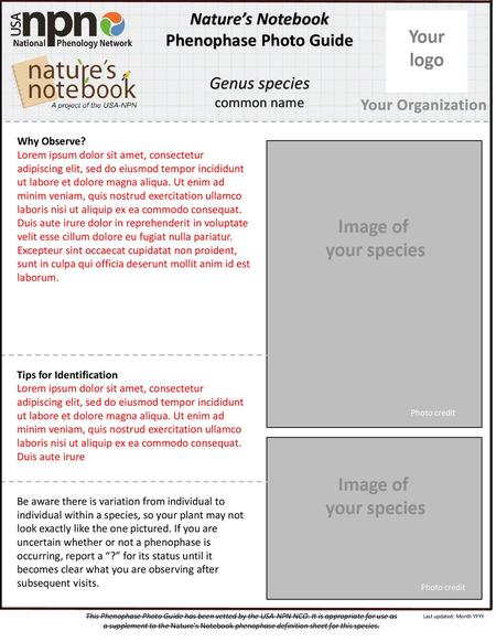 Phenophase Photo Guide