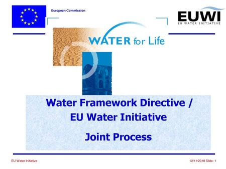 Water Framework Directive / EU Water Initiative Joint Process