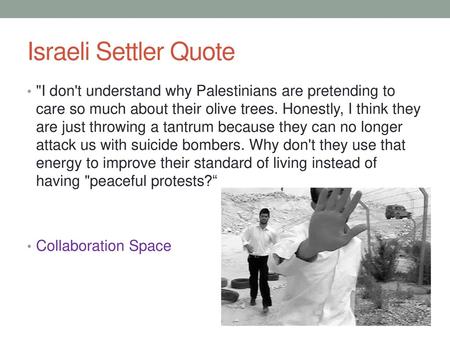 Israeli Settler Quote I don't understand why Palestinians are pretending to care so much about their olive trees. Honestly, I think they are just throwing.