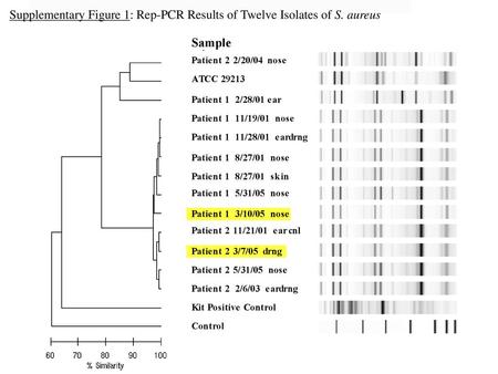 Supplementary Figure 2: PFGE Results of Ten MRSA Isolates Digested with Restriction Enzymes SmaI and EagI. a) Agarose gel electrophoresis of macrorestriction.