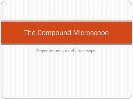 The Compound Microscope