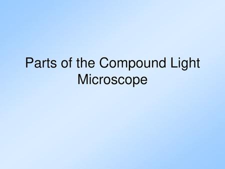 Parts of the Compound Light Microscope