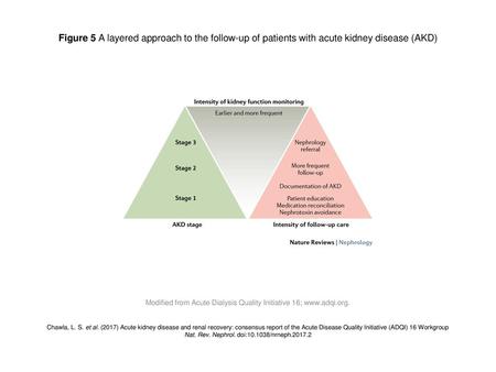 Figure 5 A layered approach to the follow-up of patients with acute kidney disease (AKD) Figure 5 | A layered approach to the follow-up of patients with.