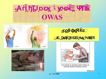 ارزیابی ارگونومیکی پوسچر به روش OWAS