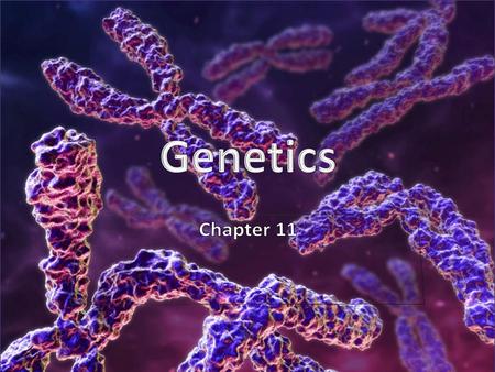 Genetics Chapter 11.