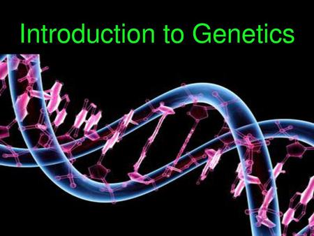 Introduction to Genetics