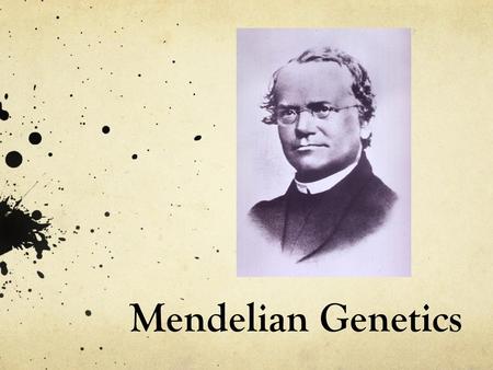 Mendelian Genetics.