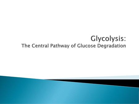 Glycolysis: The Central Pathway of Glucose Degradation