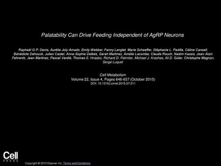 Palatability Can Drive Feeding Independent of AgRP Neurons