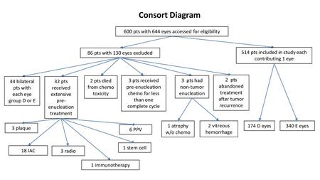 Consort Diagram 600 pts with 644 eyes accessed for eligibility