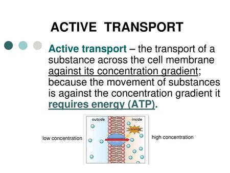 ACTIVE TRANSPORT Active transport – the transport of a substance across the cell membrane against its concentration gradient; because the movement of.