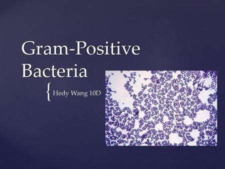 Gram-Positive Bacteria