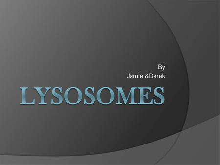 By Jamie &Derek Lysosomes.