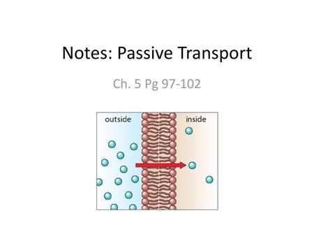 Notes: Passive Transport