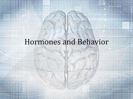 Hormones and Behavior.