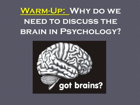 Warm-Up: Why do we need to discuss the brain in Psychology?