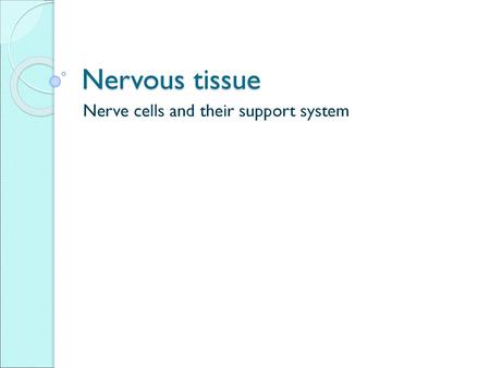 Nerve cells and their support system