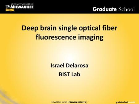 Deep brain single optical fiber fluorescence imaging