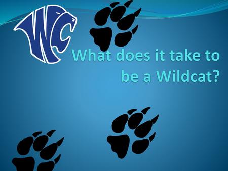 What does it take to be a Wildcat?