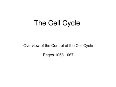 Overview of the Control of the Cell Cycle