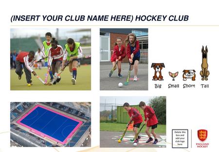 (insert your club name here) hockey club