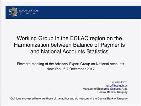 Eleventh Meeting of the Advisory Expert Group on National Accounts