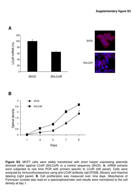 A B Supplementary figure S3 ShCtl ShLCoR LCoR mRNA (%) Optical density
