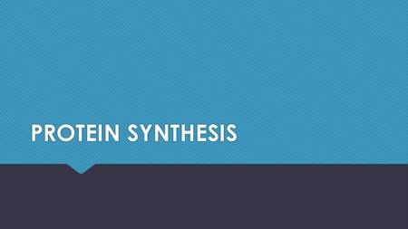 PROTEIN SYNTHESIS.