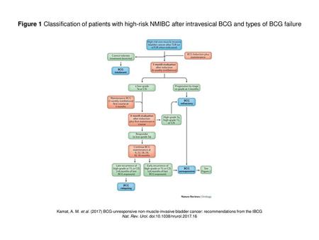 Nat. Rev. Urol. doi: /nrurol