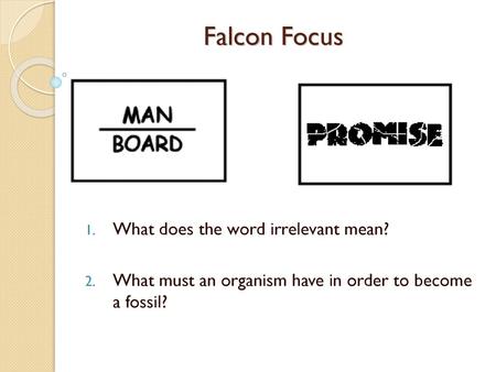 Falcon Focus What does the word irrelevant mean?