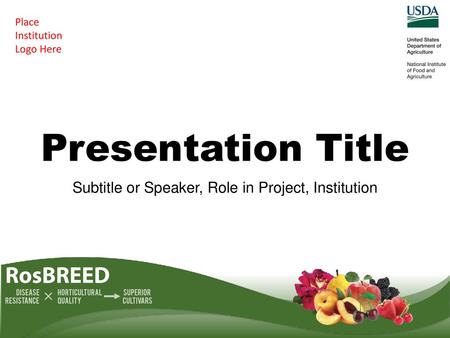 Subtitle or Speaker, Role in Project, Institution